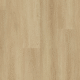 H903 Butternut H903 Butternut