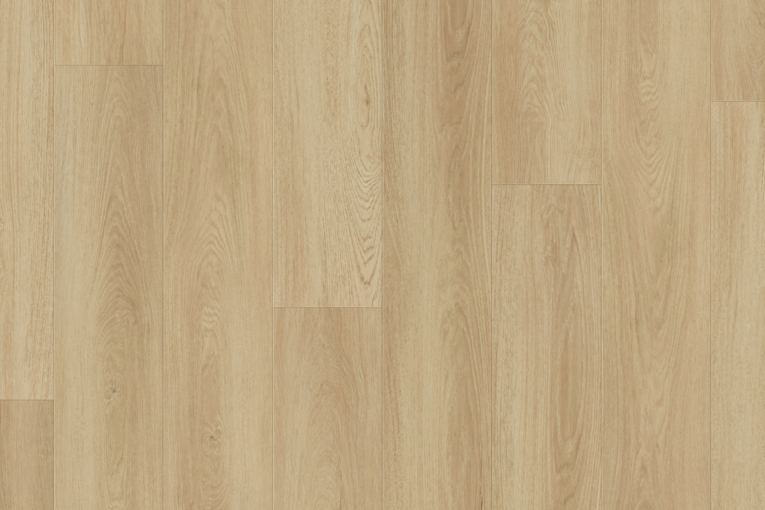 H903 Butternut H903 Butternut