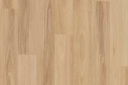 H909 Raw Blackbutt