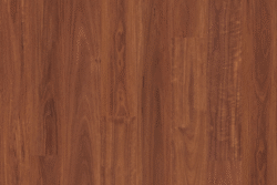 H912 Sydney Blue Gum