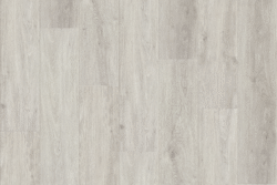 L12106 Ashen Oak