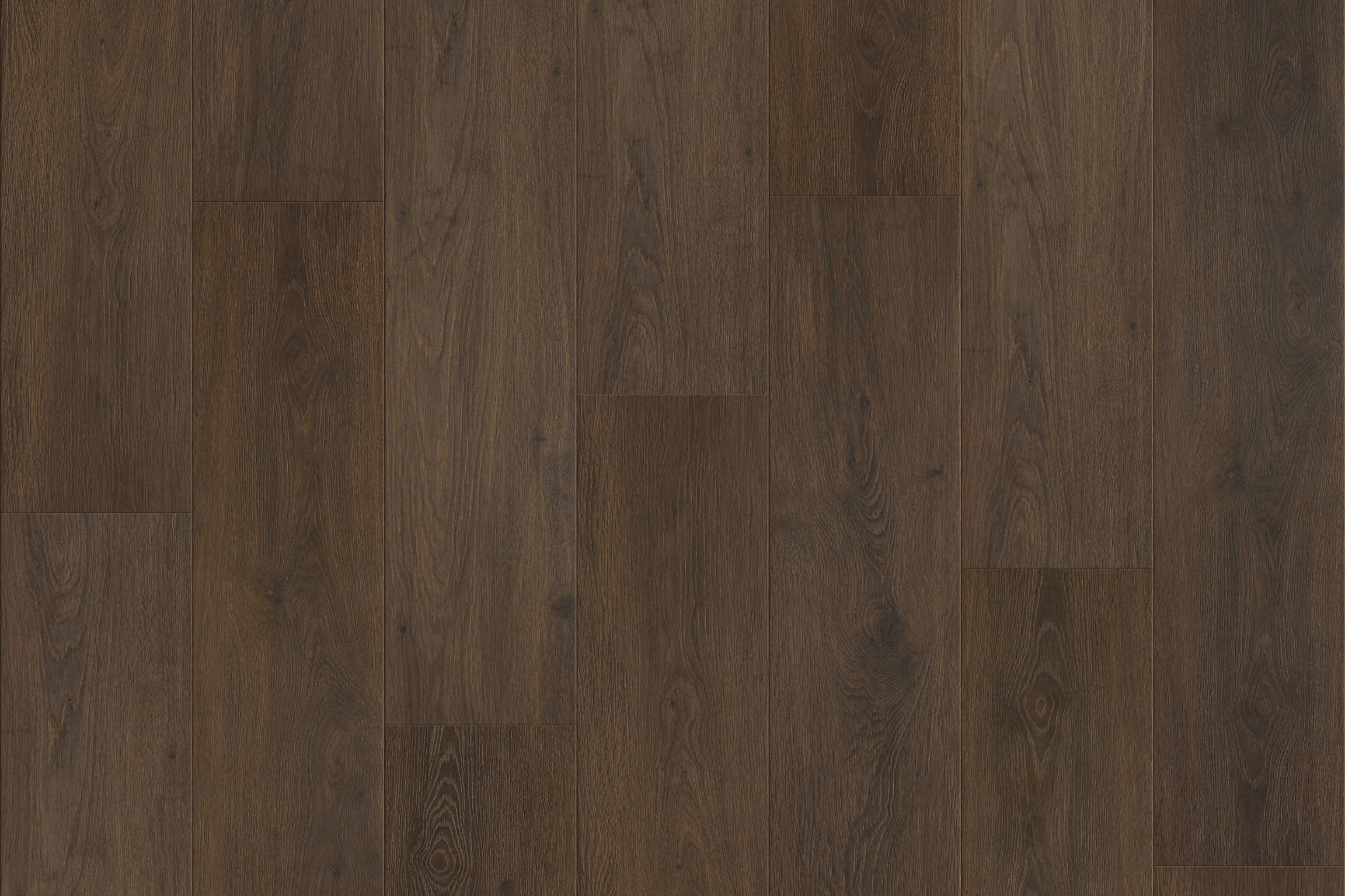 L12114 Chesnut L12114 Chesnut
