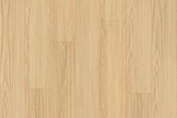 Plank L8-01