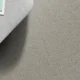 Lynx.webp