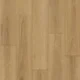 Pacific-Blackbutt.webp