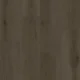 Raven.webp