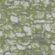 Stone-Lichen-Large.webp
