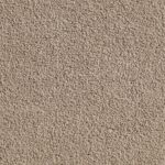 Venetain Raw Salt