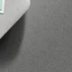 Wolf.webp