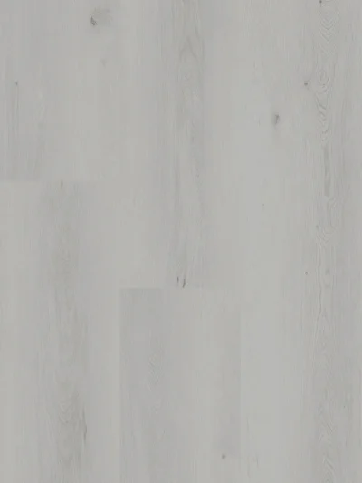 XXL - Image 13