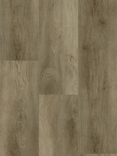 XXL - Image 8