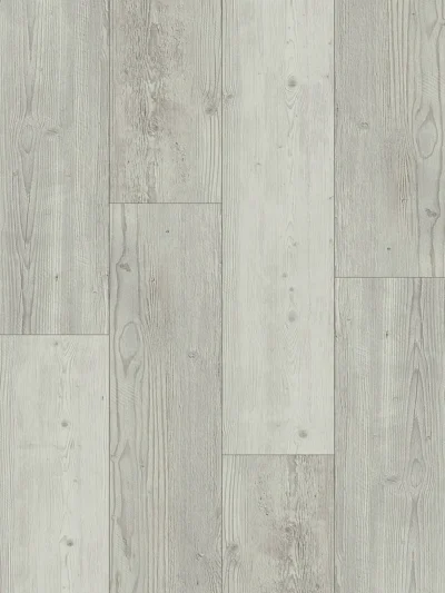 XXL - Image 6