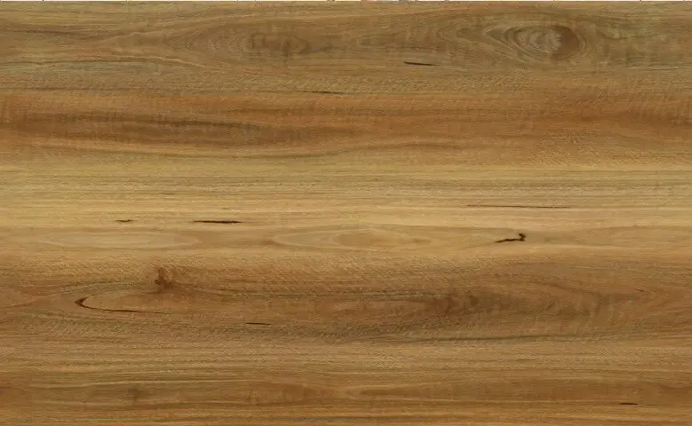 Australian Spotted Gum