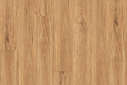 MAR-BLA Blackbutt