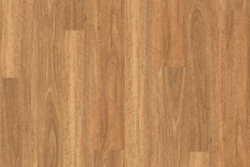 MAR-SPO Spotted Gum