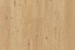 15404 Natural