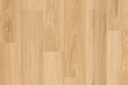 3004 Blackbutt