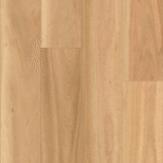Blackbutt