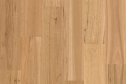 Blackbutt (5G Click)