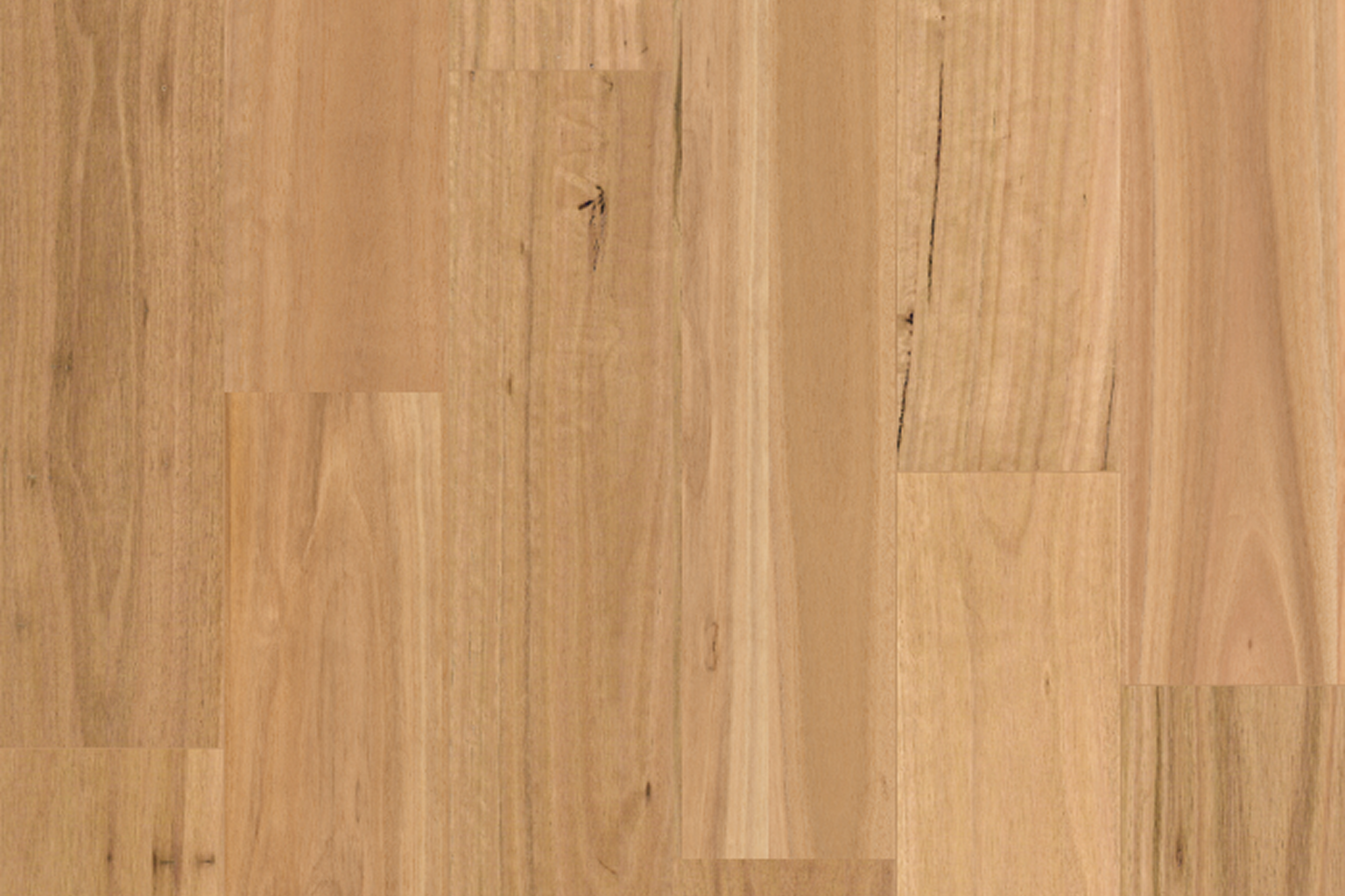 Blackbutt (5G Click) Blackbutt (5G Click)