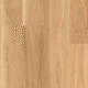 Blackbutt Blackbutt