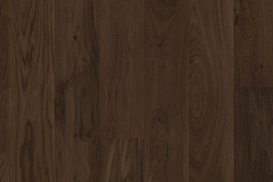 Chestnut