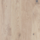 Dove Grey Dove Grey