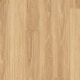 MAR-NBB Coastal Blackbutt MAR-NBB Coastal Blackbutt