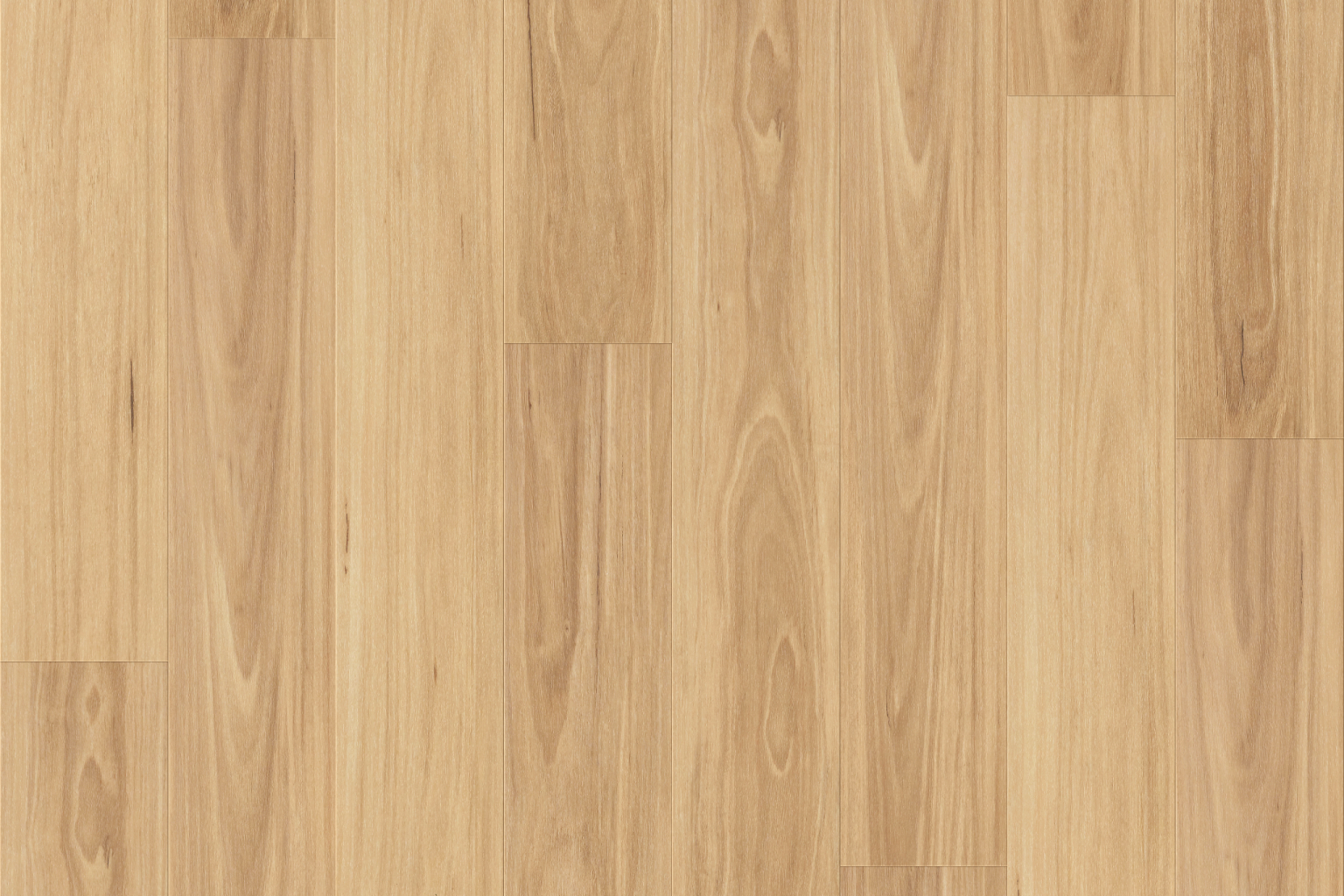 MAR-NBB Coastal Blackbutt MAR-NBB Coastal Blackbutt