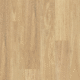 MAR-SEL Rustic Blackbutt MAR-SEL Rustic Blackbutt
