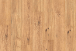H1201 Blackbutt