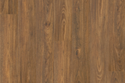 H1202 Spotted Gum