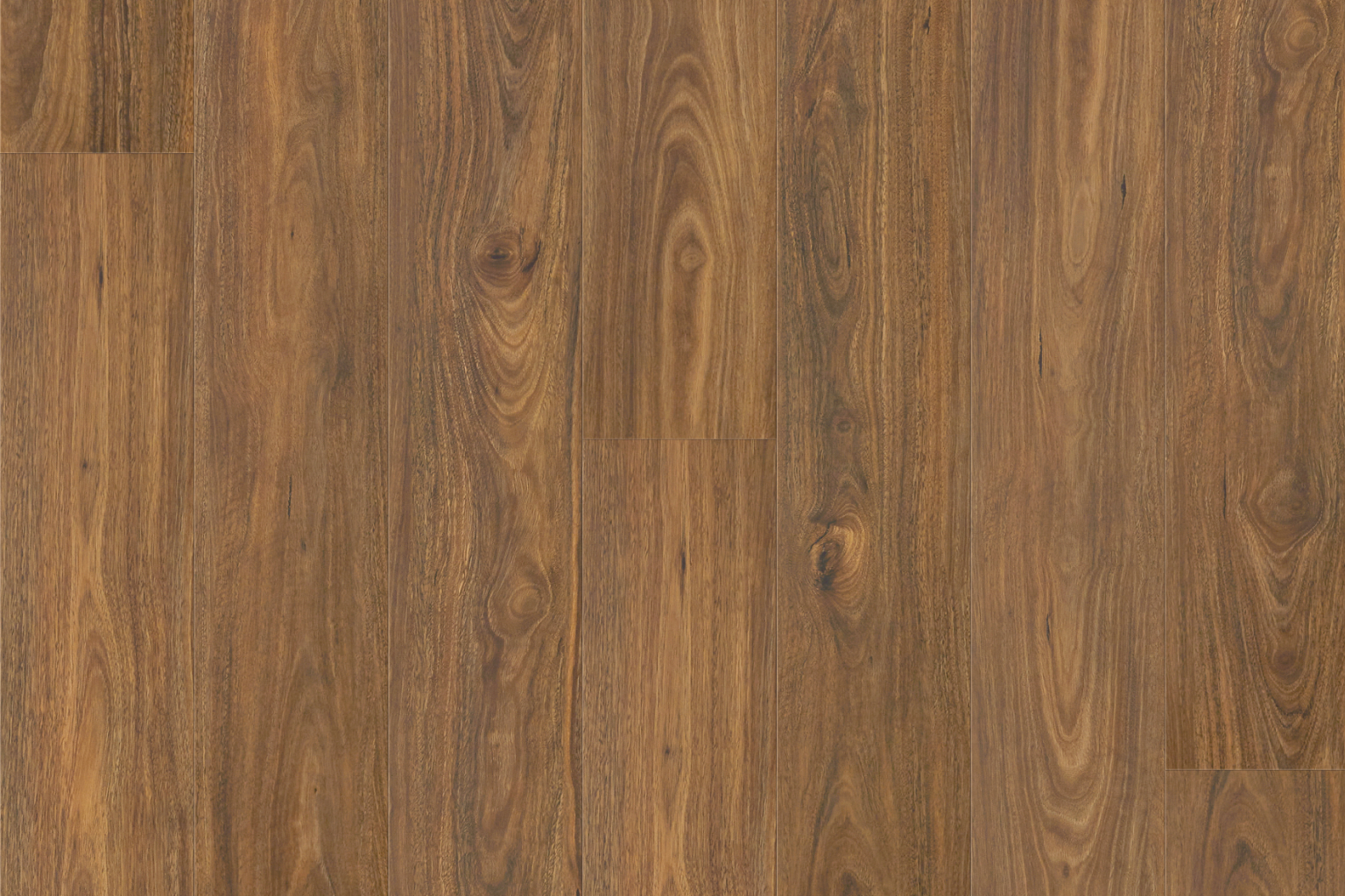 H1202 Spotted Gum H1202 Spotted Gum