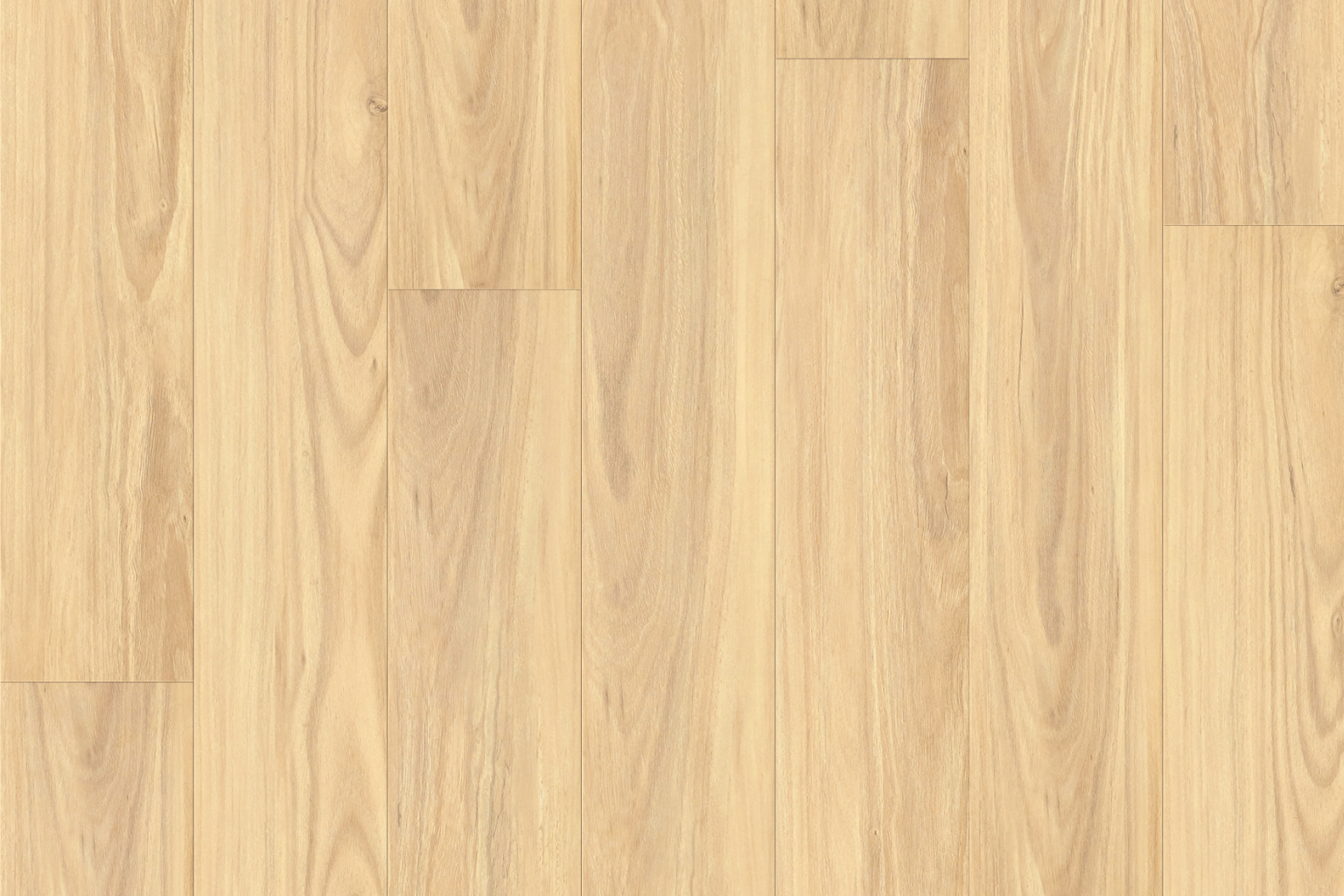 H1203 Select Blackbutt H1203 Select Blackbutt