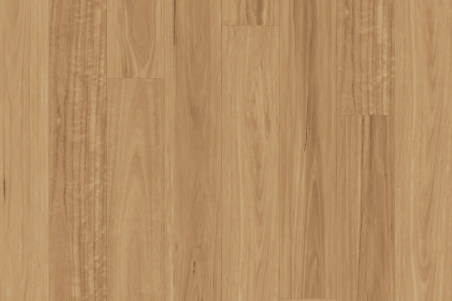 H910-Native-Blackbutt-min