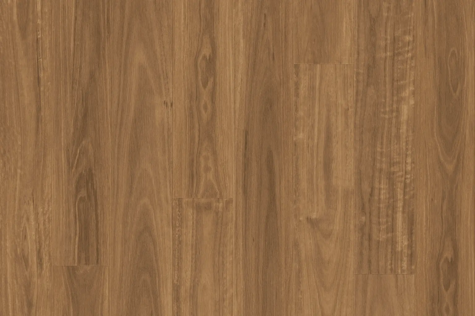 H911-Spotted-Gum-compressed