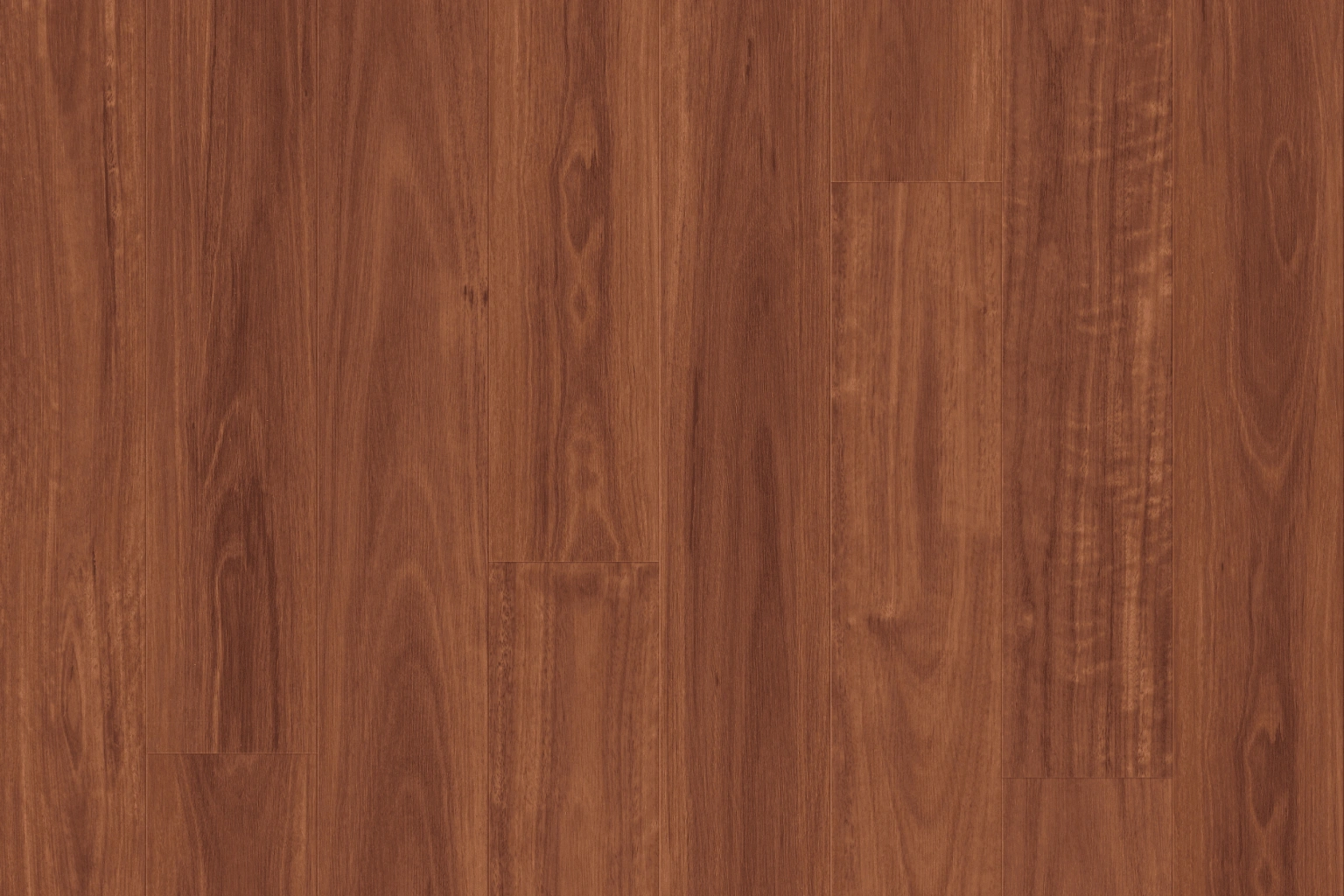 H912-Sydney-Blue-Gum-min