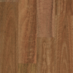 Spotted Gum