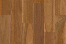 Spotted Gum (5G Click)