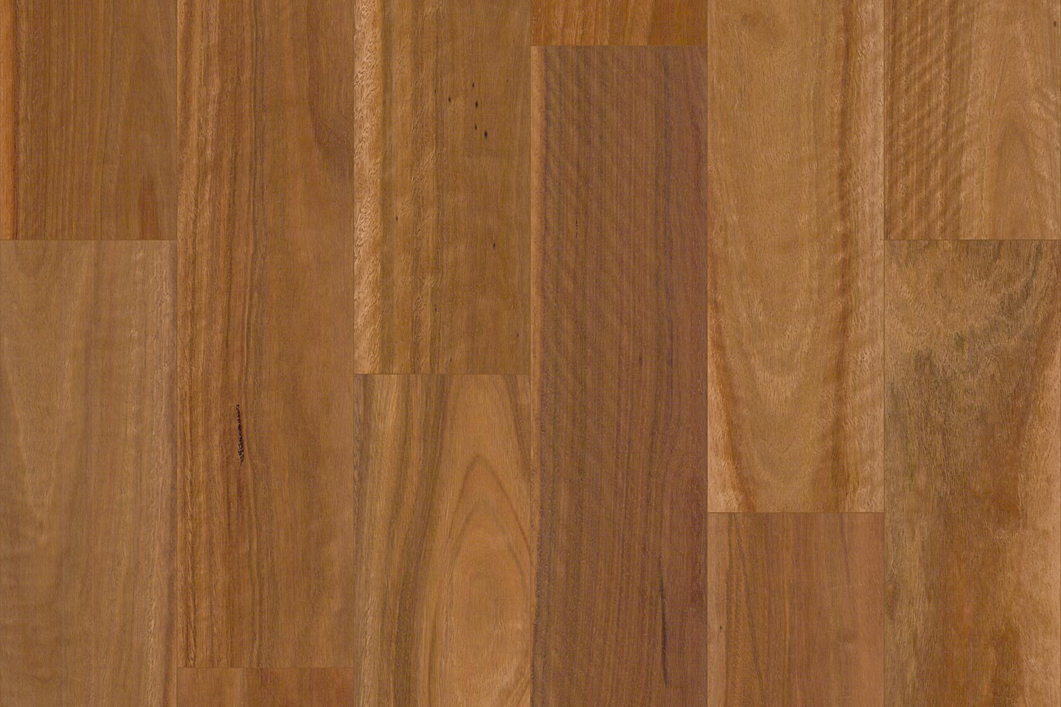Spotted Gum (5G Click) Spotted Gum (5G Click)