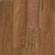 Spotted Gum Spotted Gum