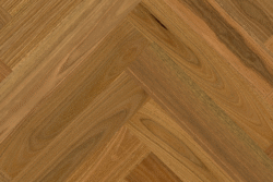Spotted Gum (T&G)