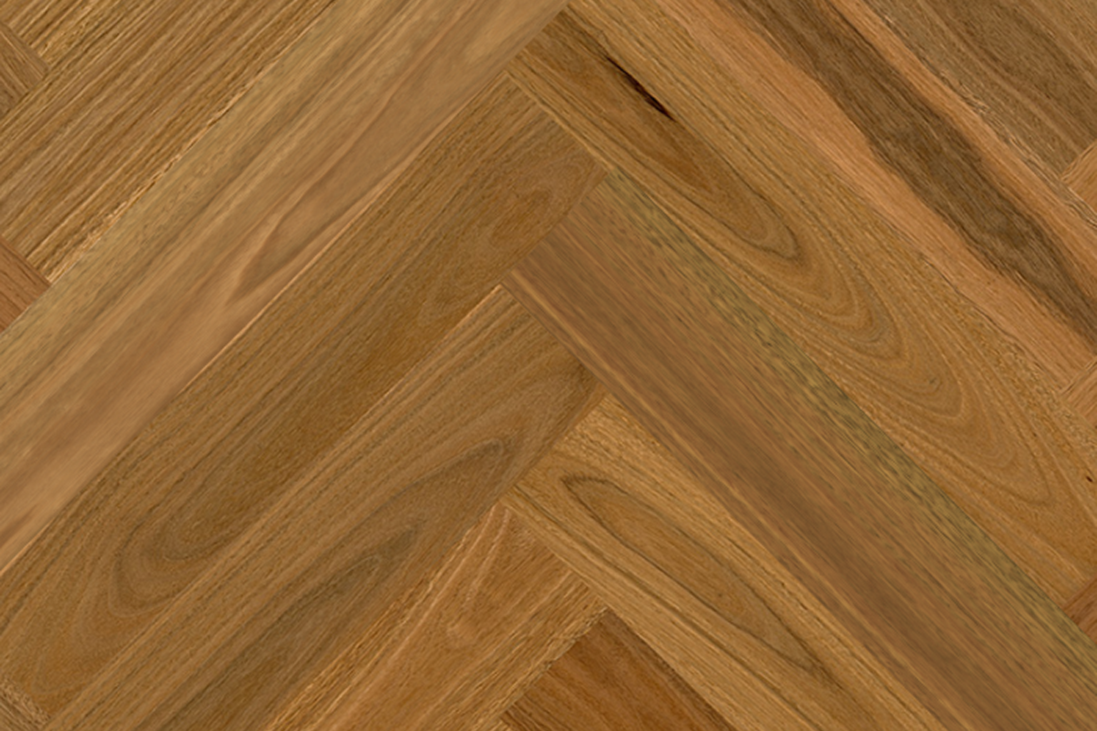 Spotted Gum (T&G) Spotted Gum (T&G)