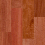 Sydney Blue Gum