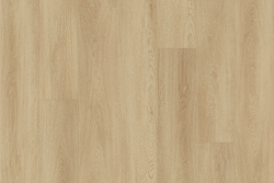 V503 Caramel