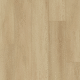 V503 Caramel V503 Caramel