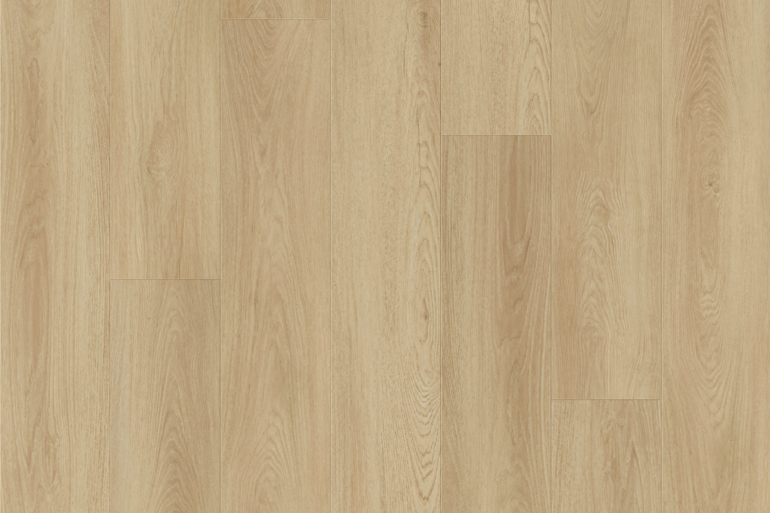 V503 Caramel V503 Caramel