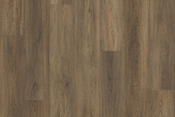 V508 Hazelnut