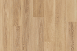 V509 Raw Blackbutt