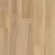 V509 Raw Blackbutt V509 Raw Blackbutt